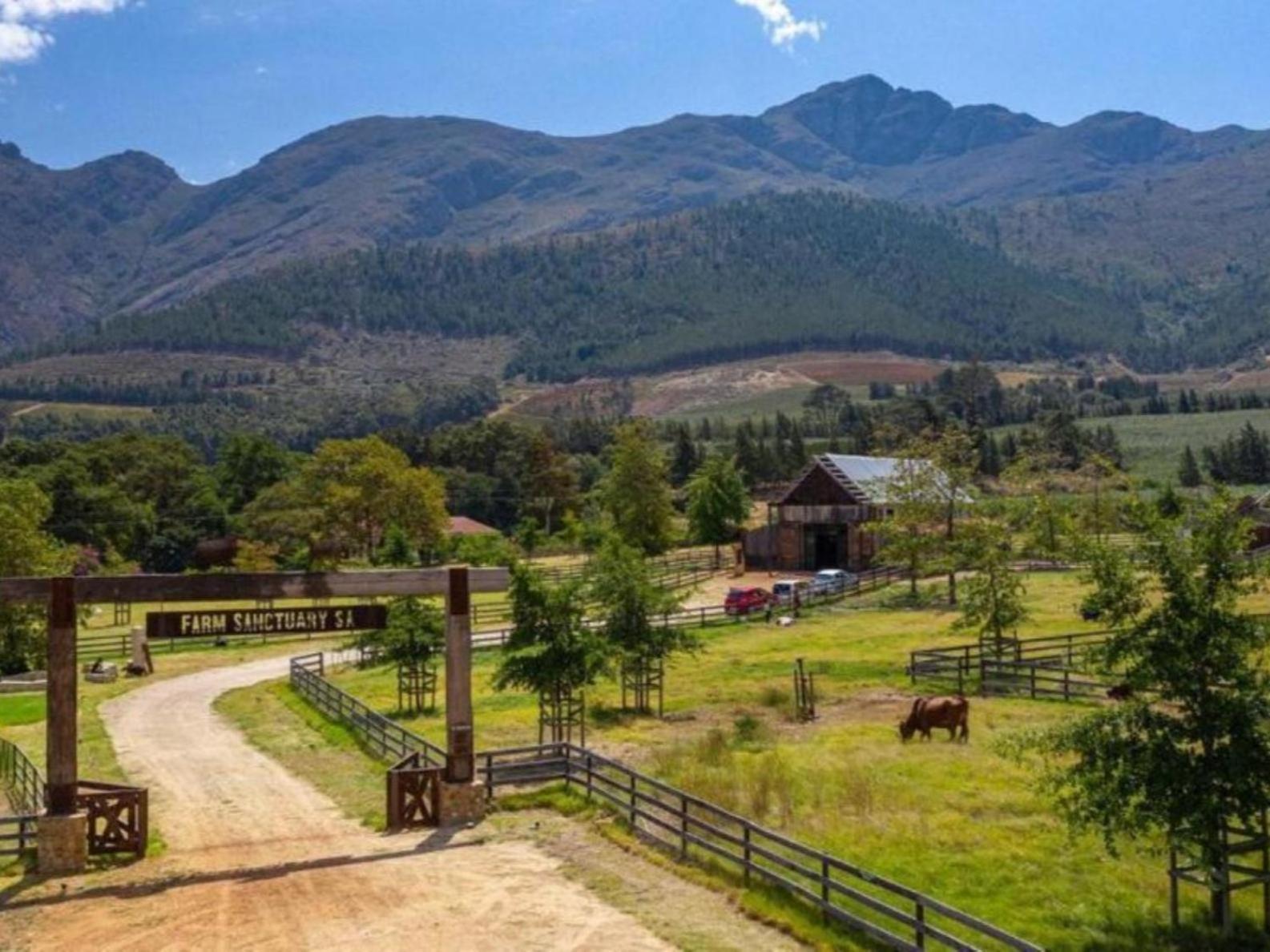 Extraordinary Barn Loft At Animal Sanctuary Franschhoek