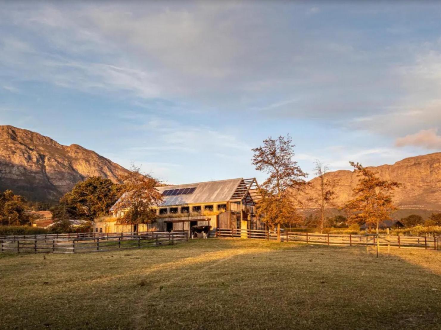 Farm stay Extraordinary Barn Loft At Animal Sanctuary *