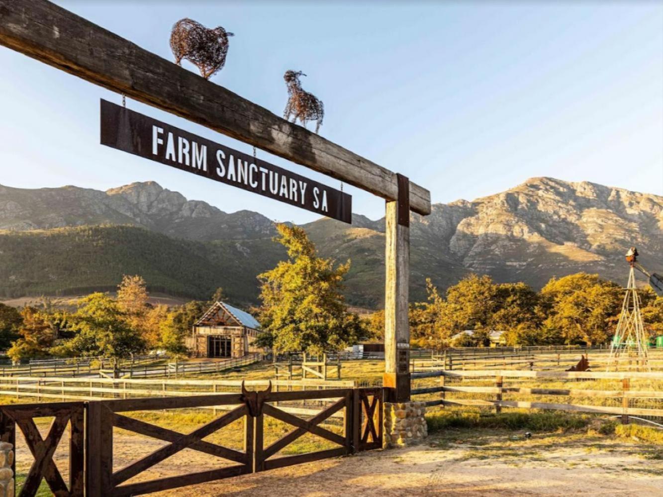 Extraordinary Barn Loft At Animal Sanctuary * Franschhoek